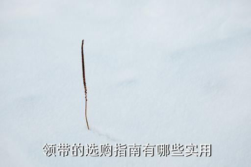 蚕丝领带搭配裙子