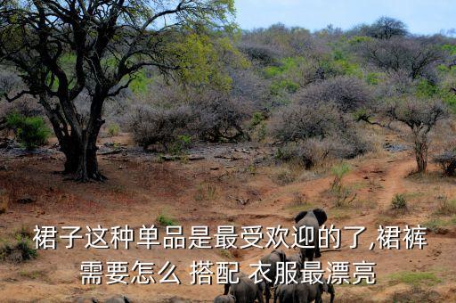  裙子这种单品是最受欢迎的了,裙裤需要怎么 搭配 衣服最漂亮