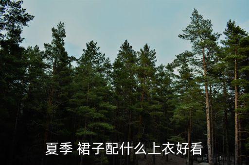 夏季 裙子配什么上衣好看