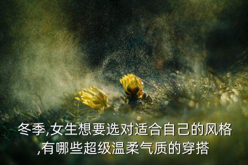 冬季中学生搭配裙子图片,冬季西装搭配裤子还是裙子