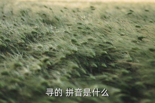 寻的 拼音是什么