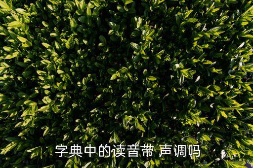  字典中的读音带 声调吗