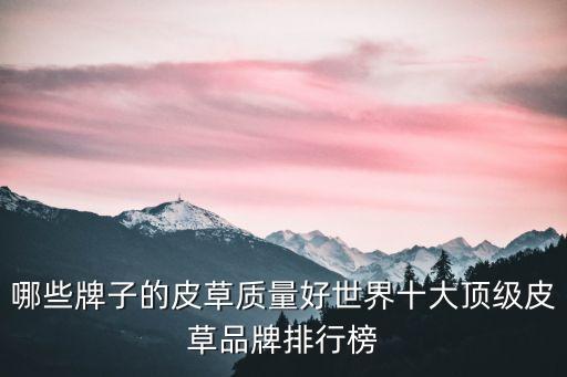 哪些牌子的皮草质量好世界十大顶级皮草品牌排行榜