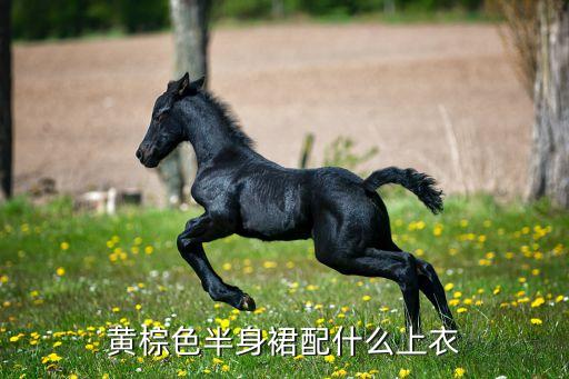 黄棕色半身裙配什么上衣