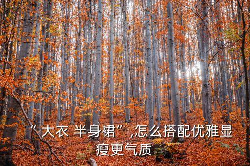 穿裙子配大衣好看