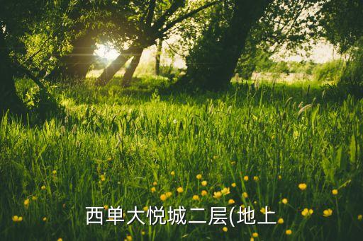 un女装品牌,mo