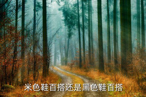  米色鞋百搭还是黑色鞋百搭