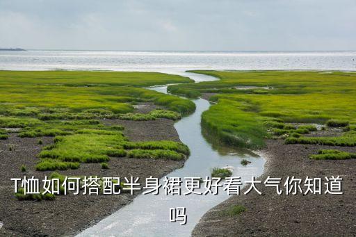 运动短袖穿搭裙子男