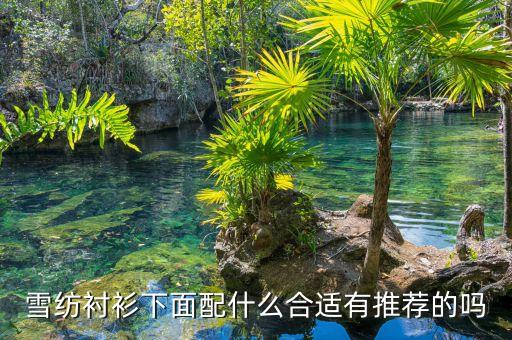 雪纺衬衫下面配什么合适有推荐的吗