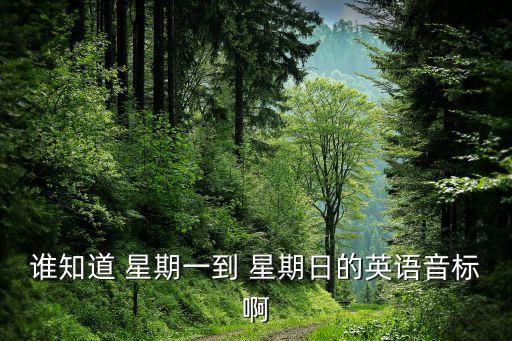 谁知道 星期一到 星期日的英语音标啊