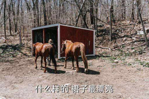 什么样的 裙子最漂亮