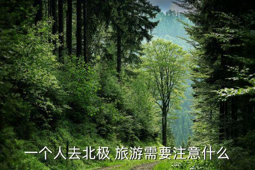一个人去北极 旅游需要注意什么