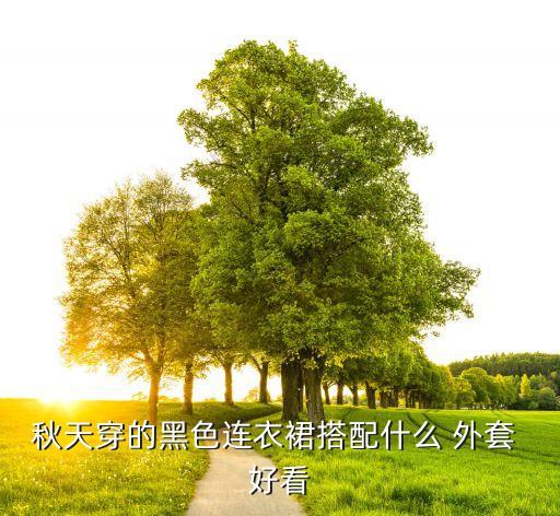 秋天穿的黑色连衣裙搭配什么 外套 好看