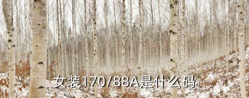 女装170/88A是什么码