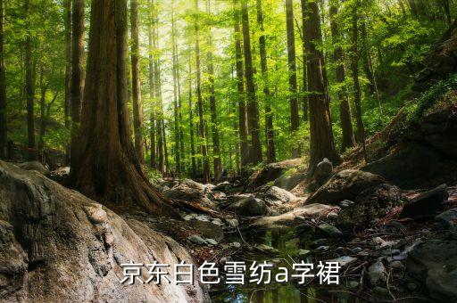  京东白色雪纺a字裙