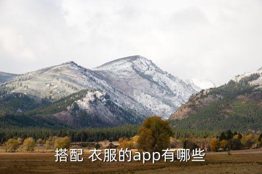 搭配 衣服的app有哪些