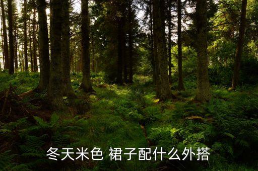 冬天米色 裙子配什么外搭