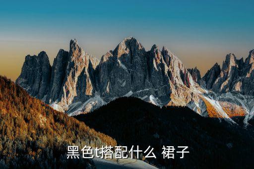  黑色t搭配什么 裙子