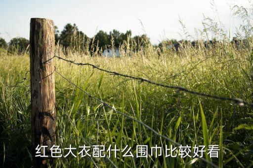 红色裙子搭配围脖