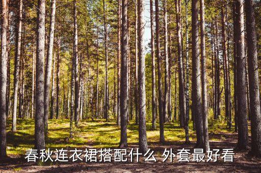 春秋连衣裙搭配什么 外套最好看