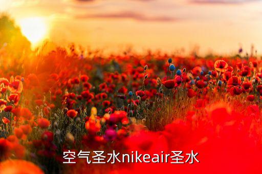 耐克airmax裙子搭配,耐克AIRmax和ZOOM哪个好