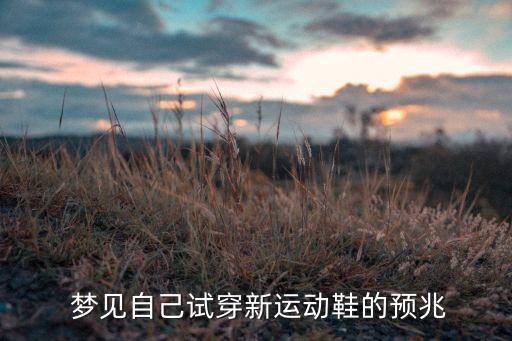  梦见自己试穿新运动鞋的预兆