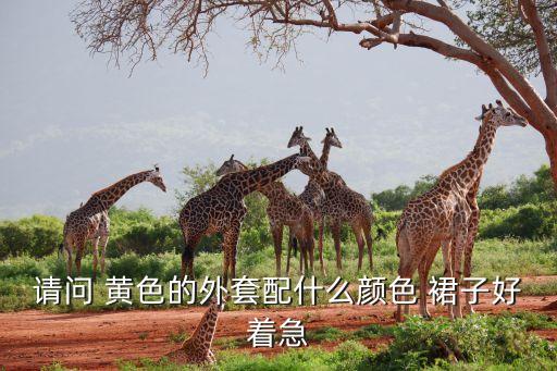 请问 黄色的外套配什么颜色 裙子好着急