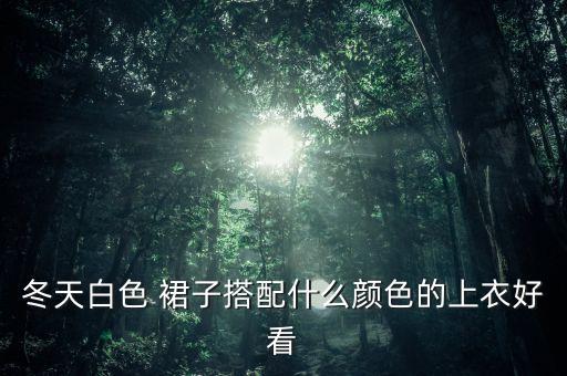 冬天白色 裙子搭配什么颜色的上衣好看