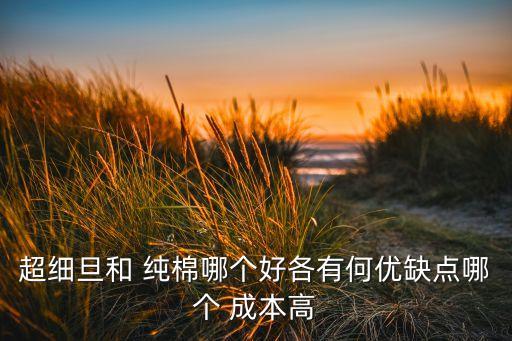 超细旦和 纯棉哪个好各有何优缺点哪个 成本高