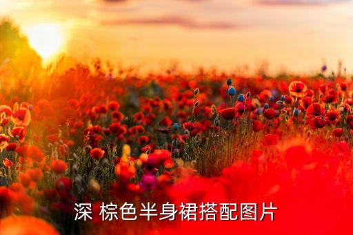 衬衫裙子棕色好看吗女生,棕色衬衫搭配什么颜色的裙子