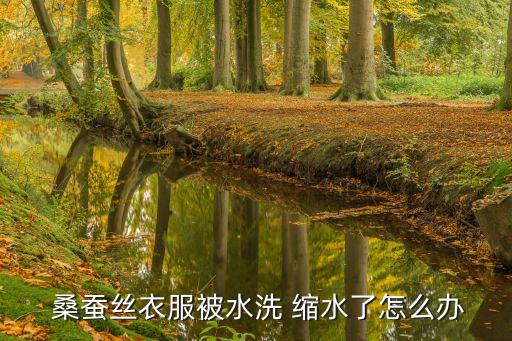  桑蚕丝衣服被水洗 缩水了怎么办