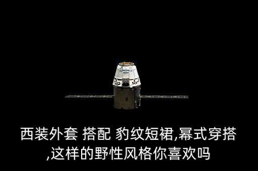 豹纹背心裙子搭配图片,针织背心裙子搭配什么外套