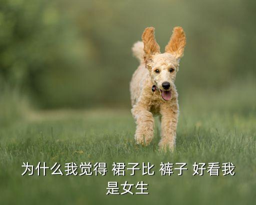 是穿裙子好看还是裤子好看,穿裙子好看还是裤子好看的幽默回复