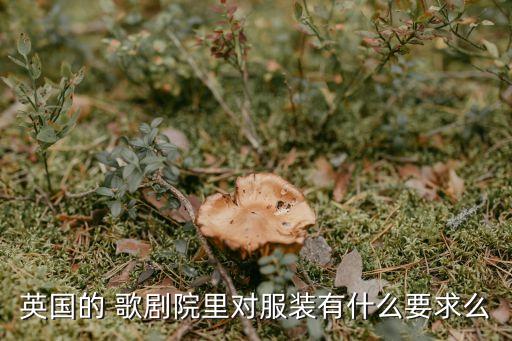 英国的 歌剧院里对服装有什么要求么