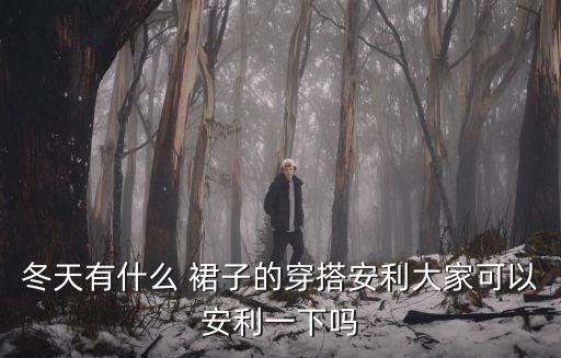女士冬季穿搭裙子,女士polo衫搭裙子