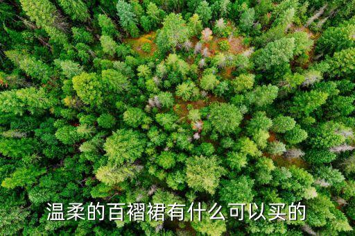 温柔的百褶裙有什么可以买的