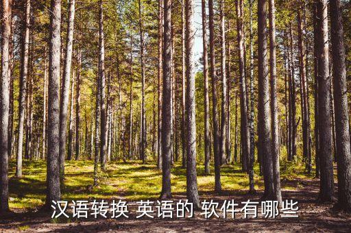 汉语转换 英语的 软件有哪些