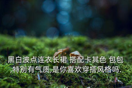 黑白波点连衣长裙 搭配卡其色 包包,特别有气质,是你喜欢穿搭风格吗...