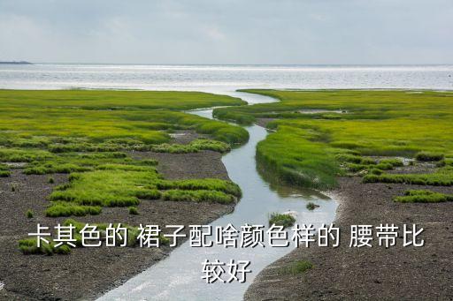 卡其色的 裙子配啥颜色样的 腰带比较好