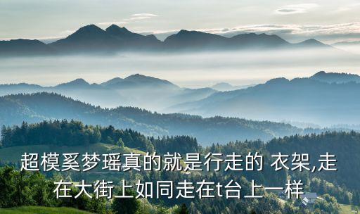衣架品牌包包搭配裙子