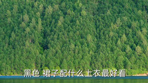  黑色 裙子配什么上衣最好看