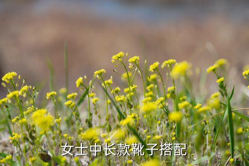 女士中长款靴子搭配