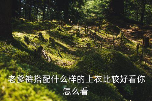 老爹穿搭裙子图片男,老爹鞋搭配裙子好看吗图片