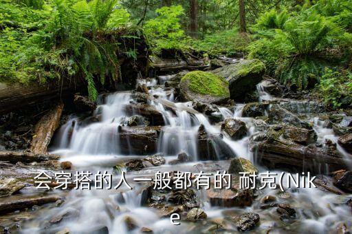会穿搭的人一般都有的 耐克(Nike