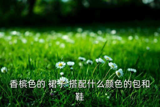 香槟色的 裙子 搭配什么颜色的包和鞋