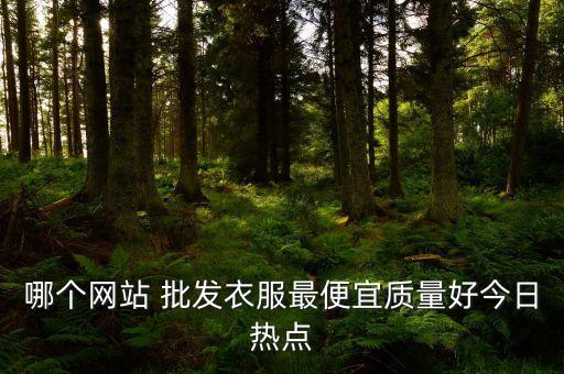 哪个网站 批发衣服最便宜质量好今日热点