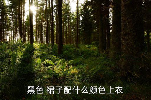 黑色 裙子配什么颜色上衣