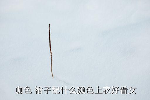 成人咖色裙子搭配,咖色裙子搭配什么上衣好看
