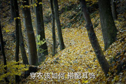 穿衣该如何 搭配耳饰