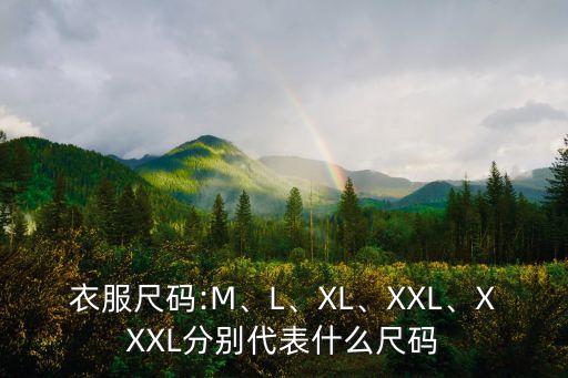衣服尺码:M、L、XL、XXL、XXXL分别代表什么尺码